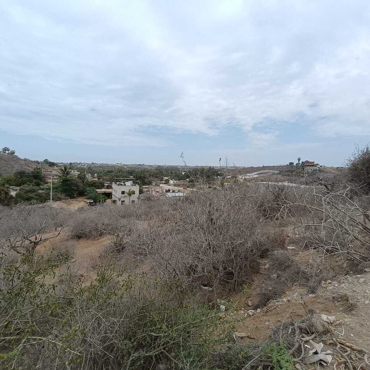 2 of 12: Lote 008