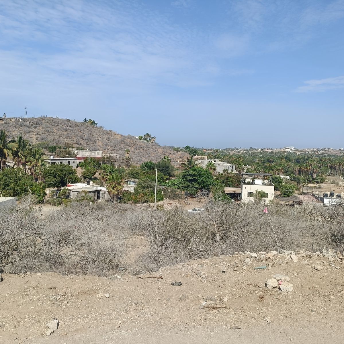 5 of 12: Lote 008