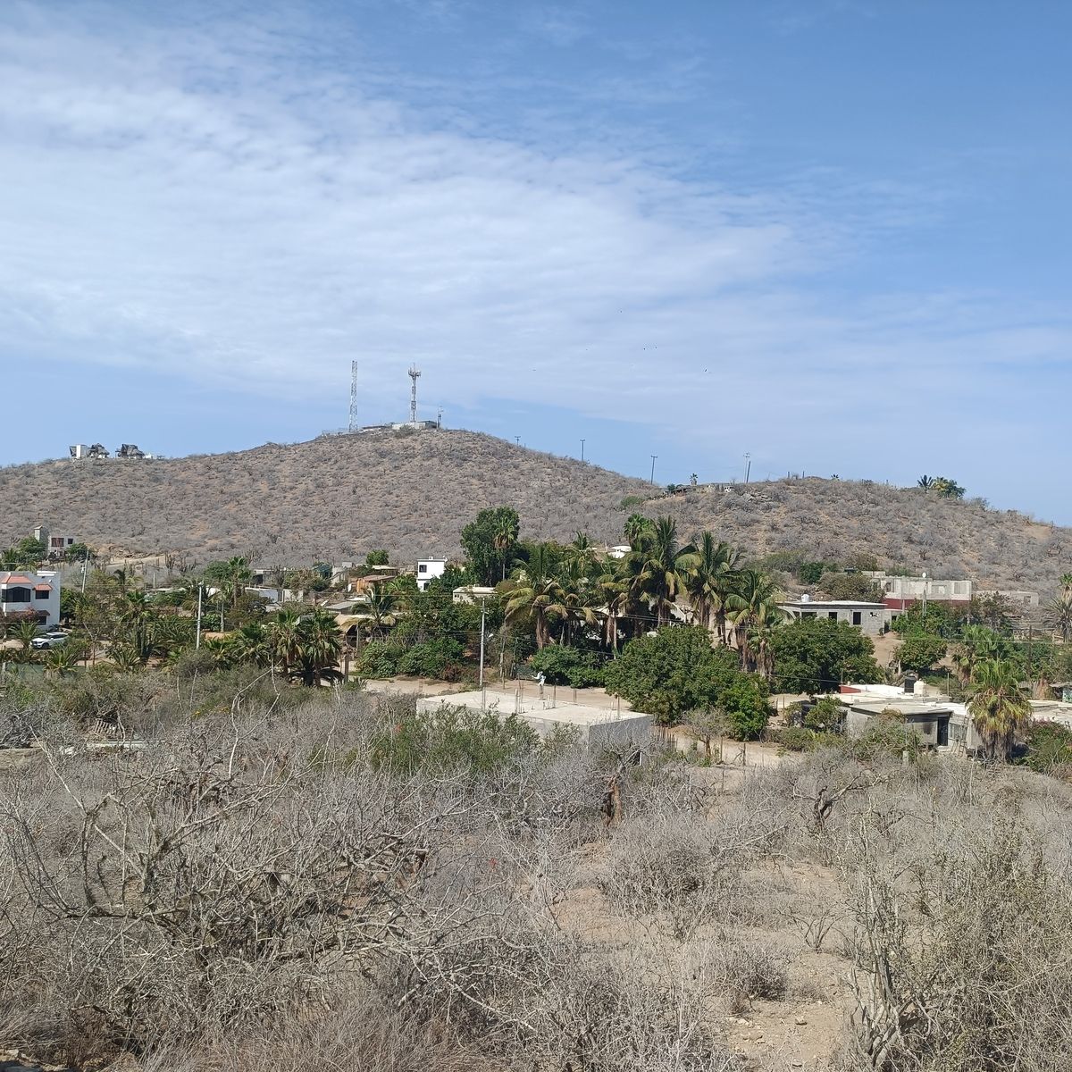4 of 12: Lote 008