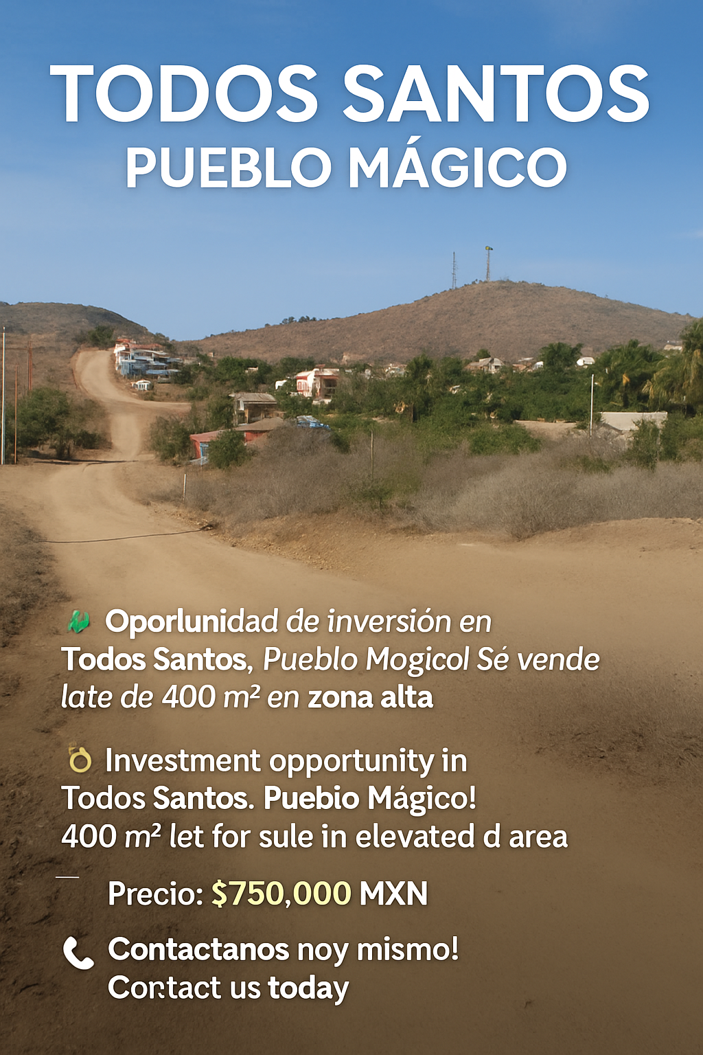 1 of 12: Lote 008