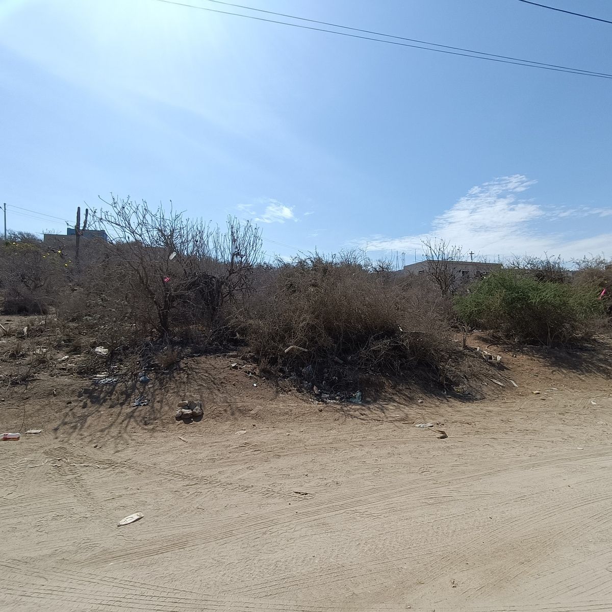 3 de 8: Lote 021
