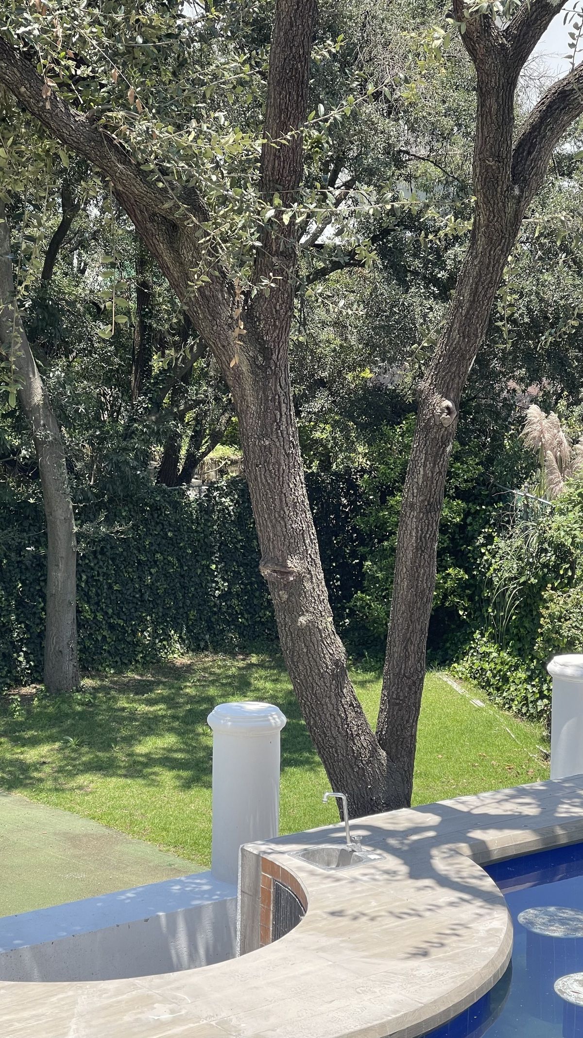 12 de 36