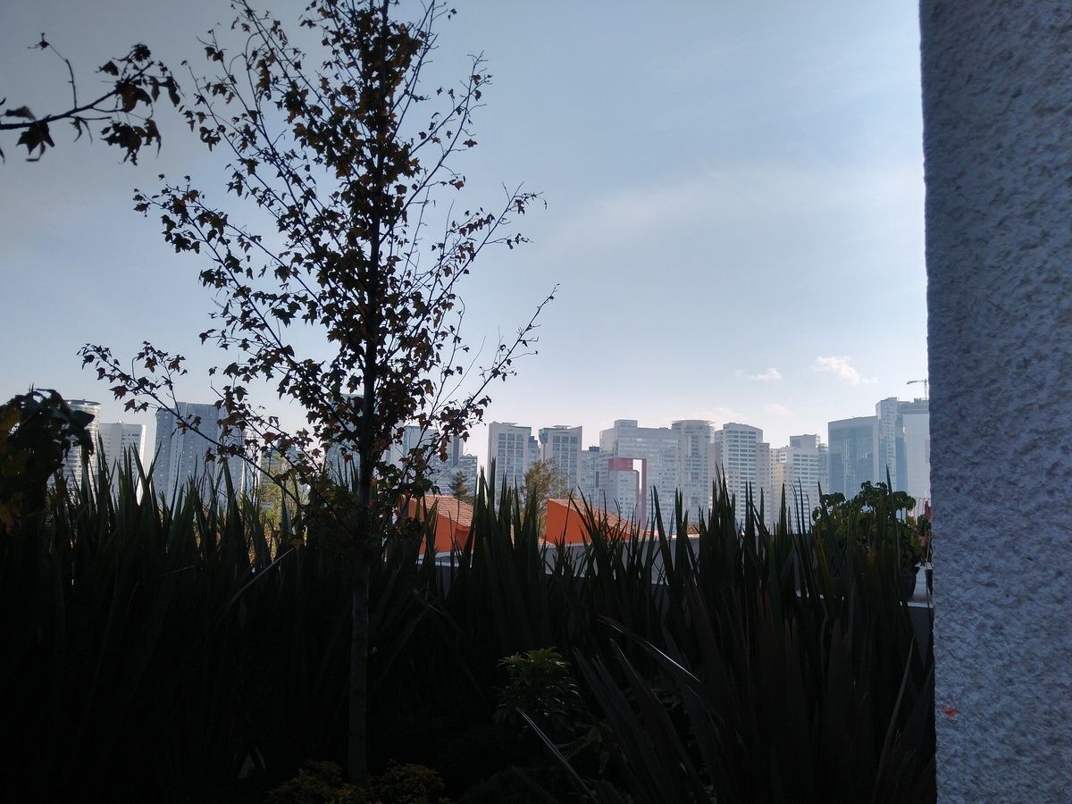 2 de 19