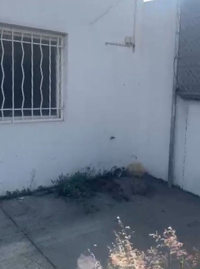 10 de 31
