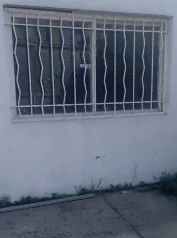 11 de 31