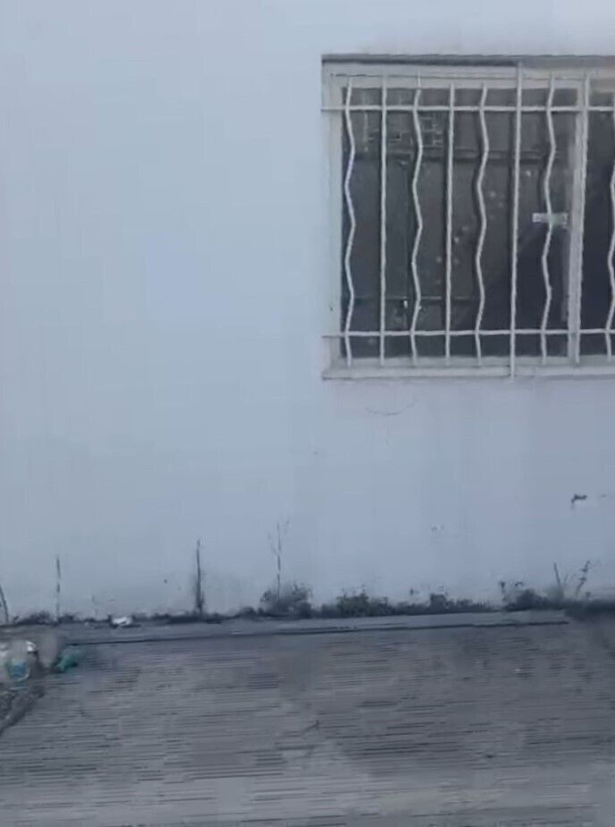 12 de 31