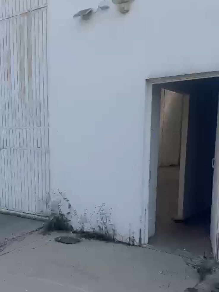 13 de 31