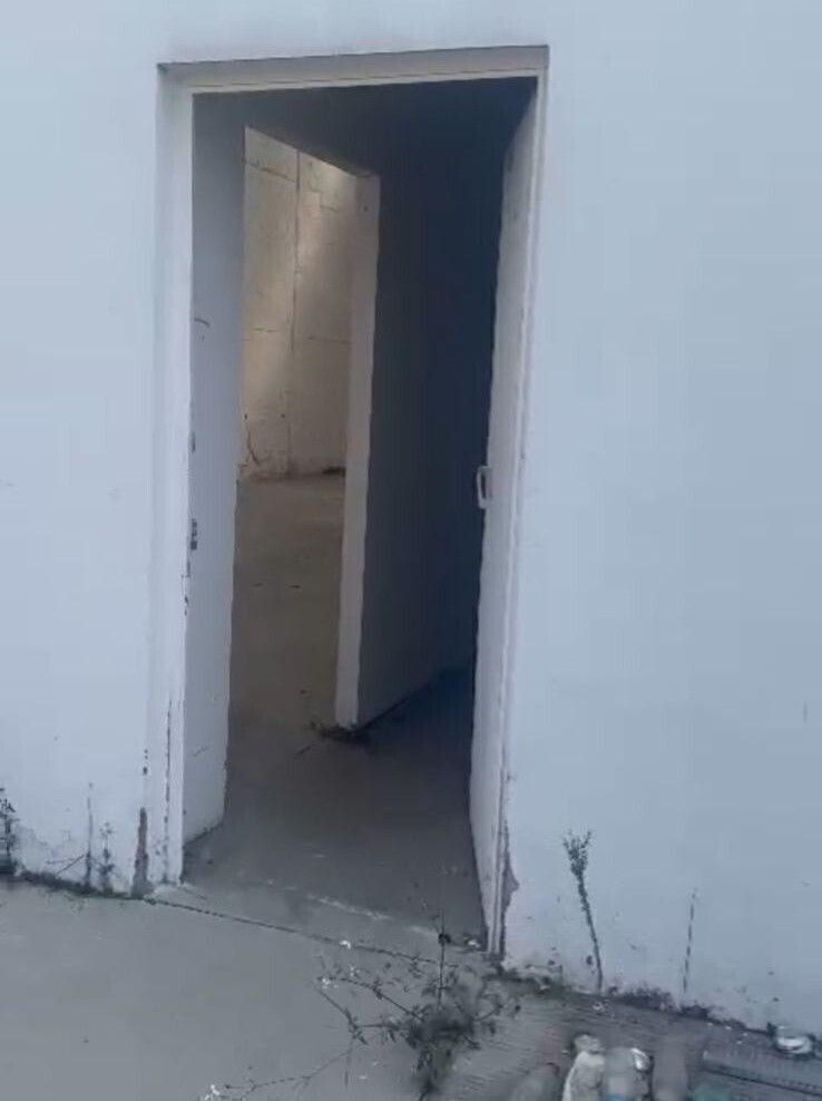 14 de 31