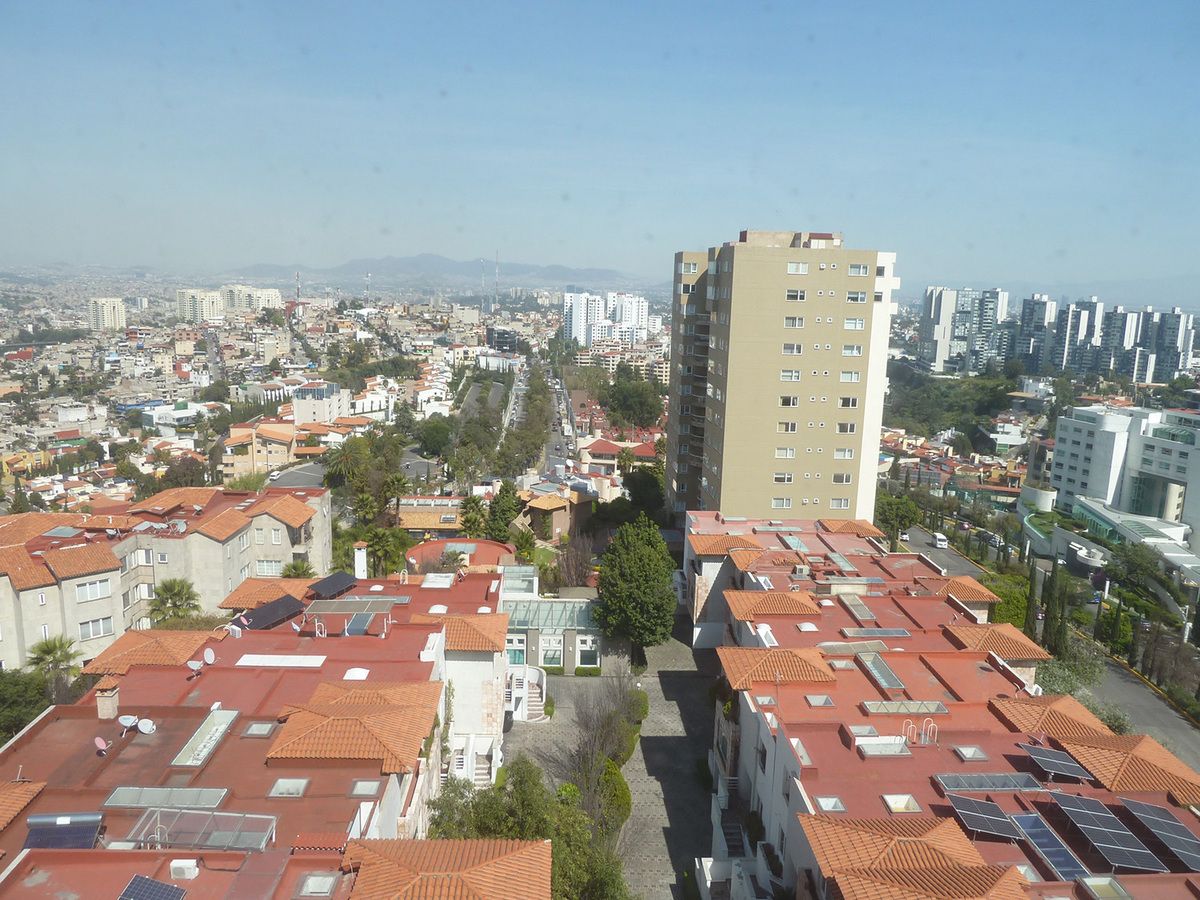 6 de 31