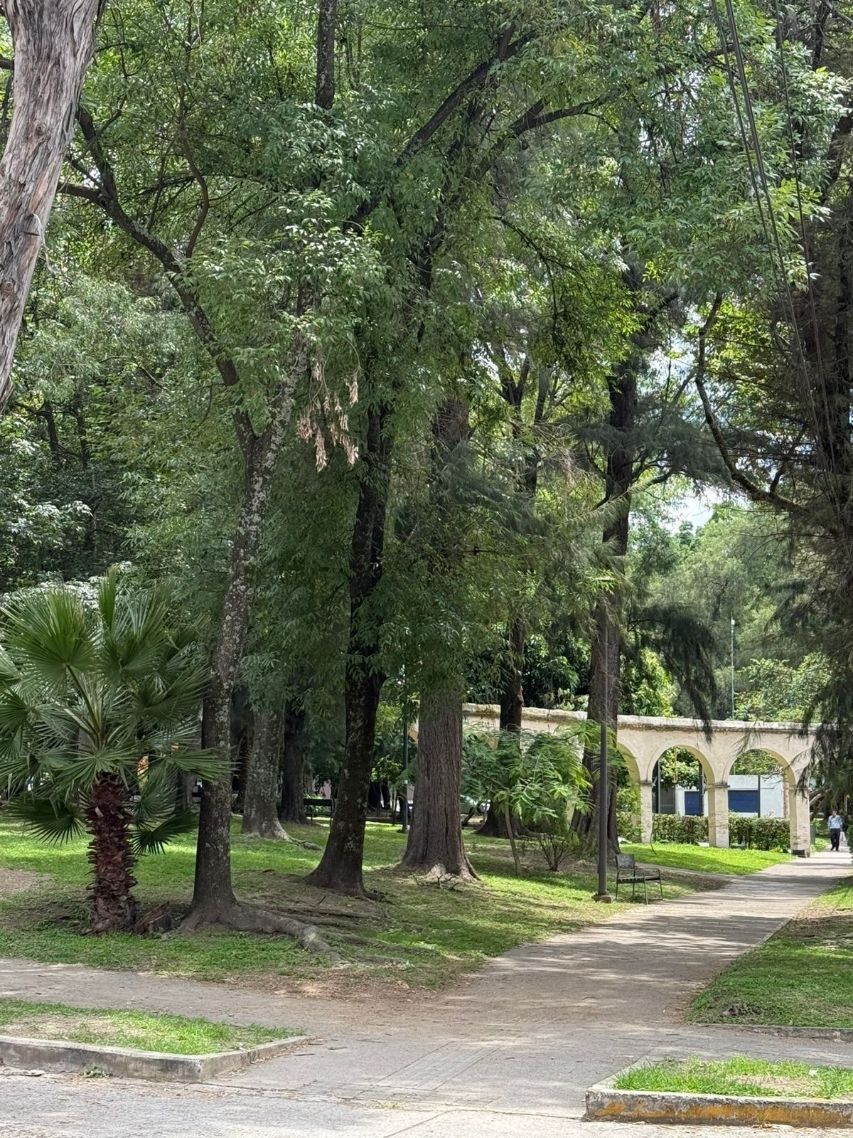 3 de 4