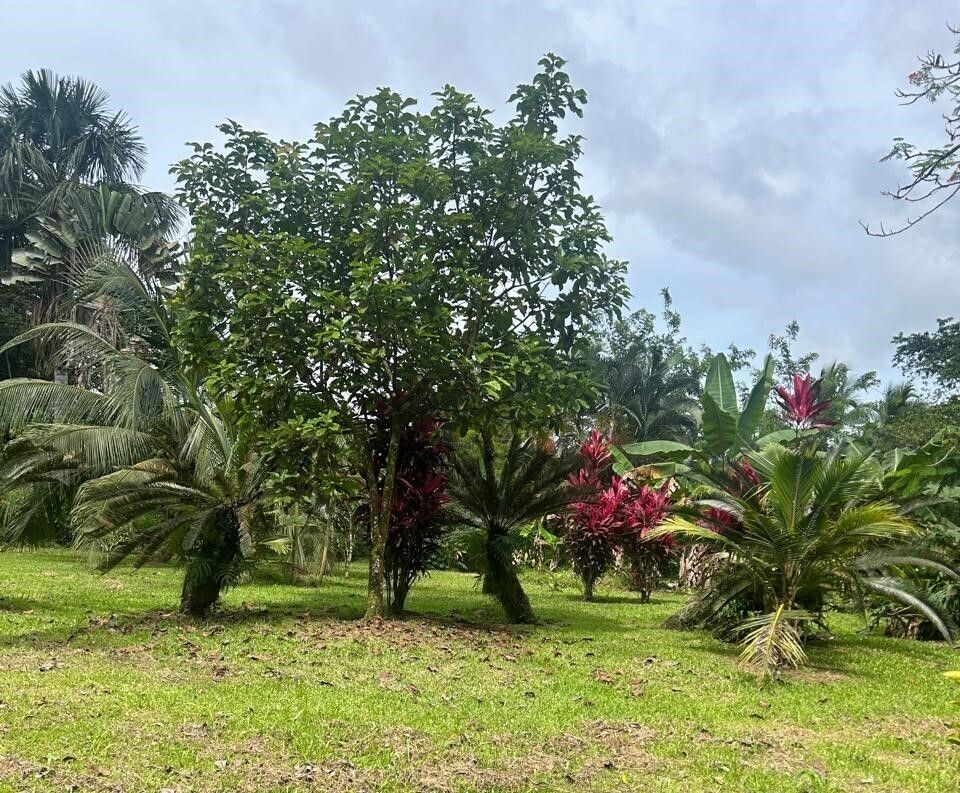 1 de 24