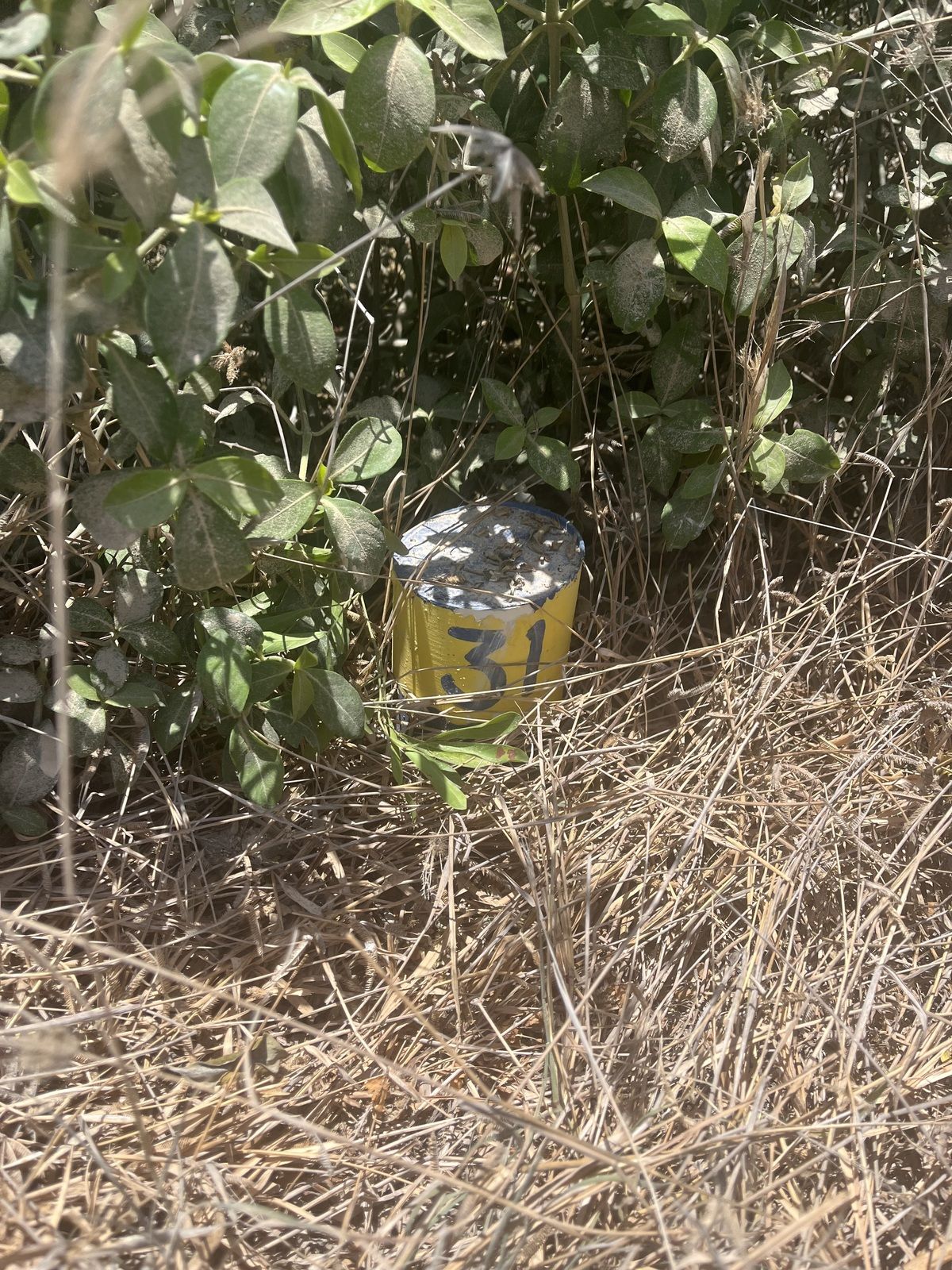 5 de 8