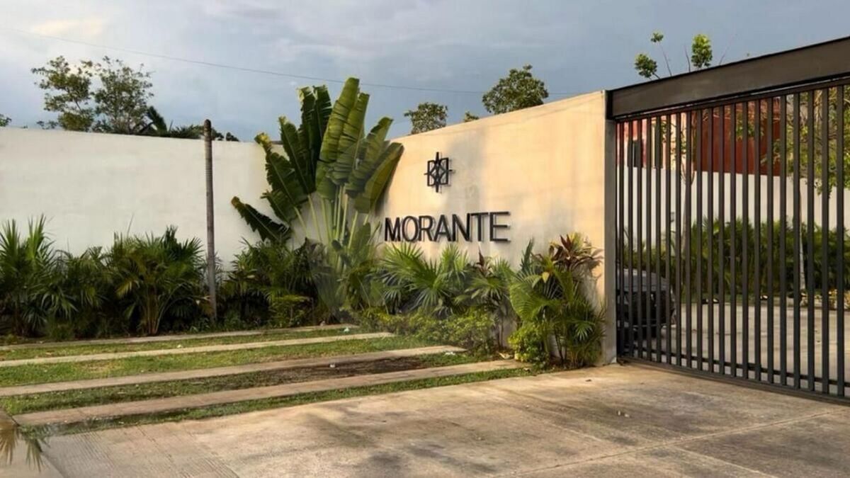 3 de 16