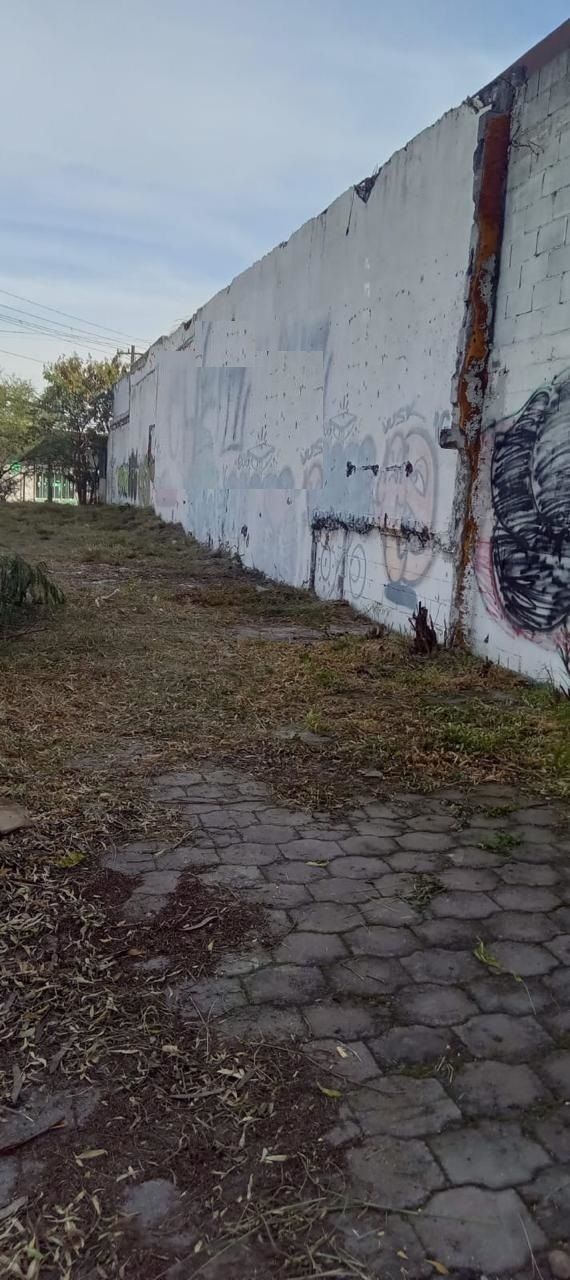 3 de 4