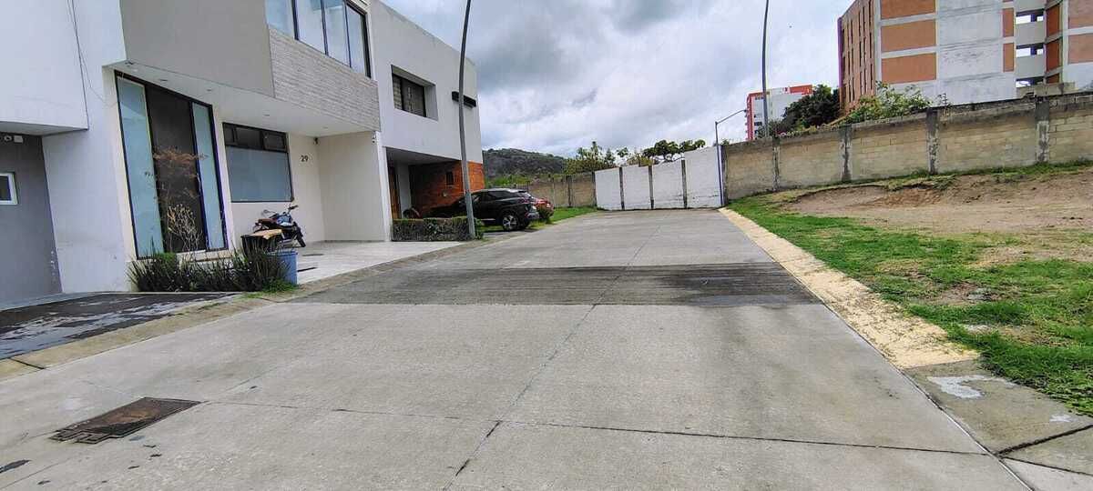 1 de 8