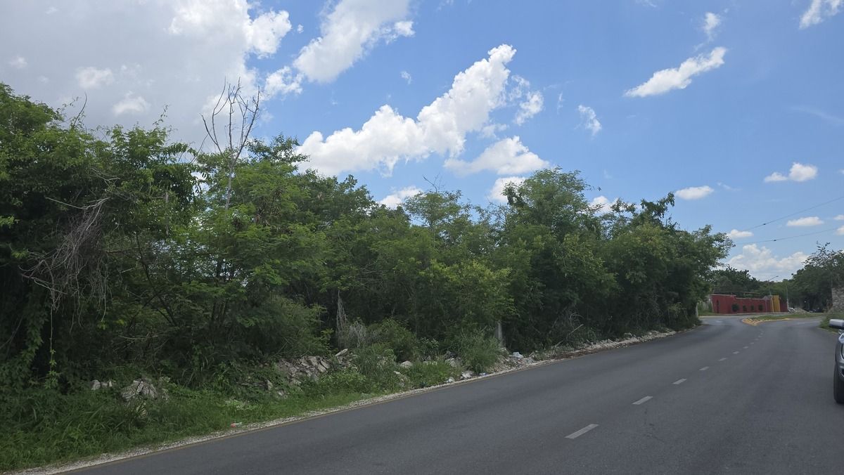 3 de 10