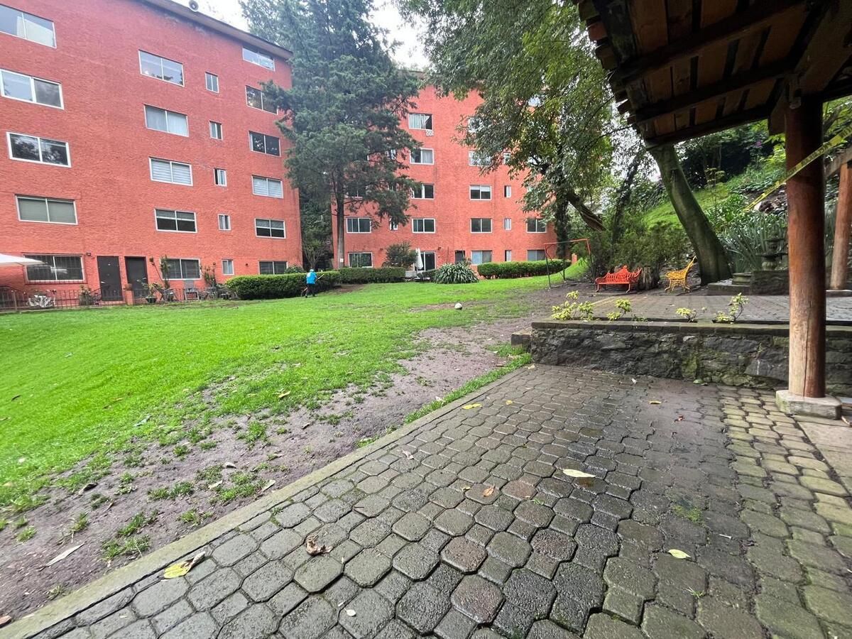 18 de 26: Vista del jardín