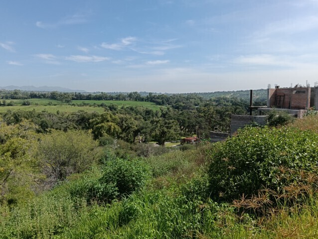 vista panorámica