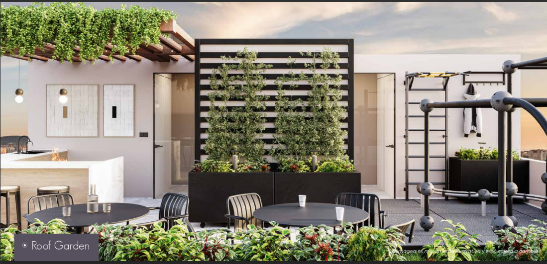 3 de 4: Roof Garden