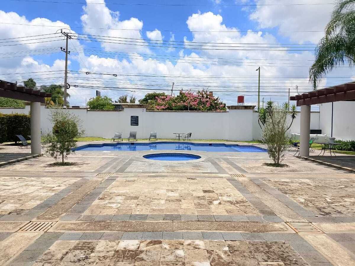 8 de 12
