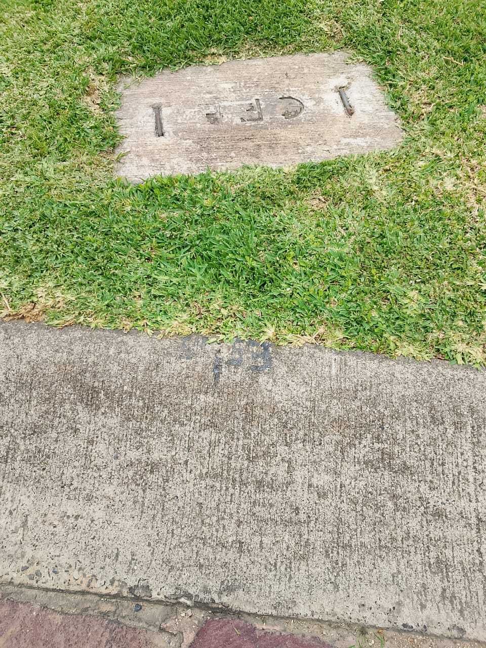 3 de 12