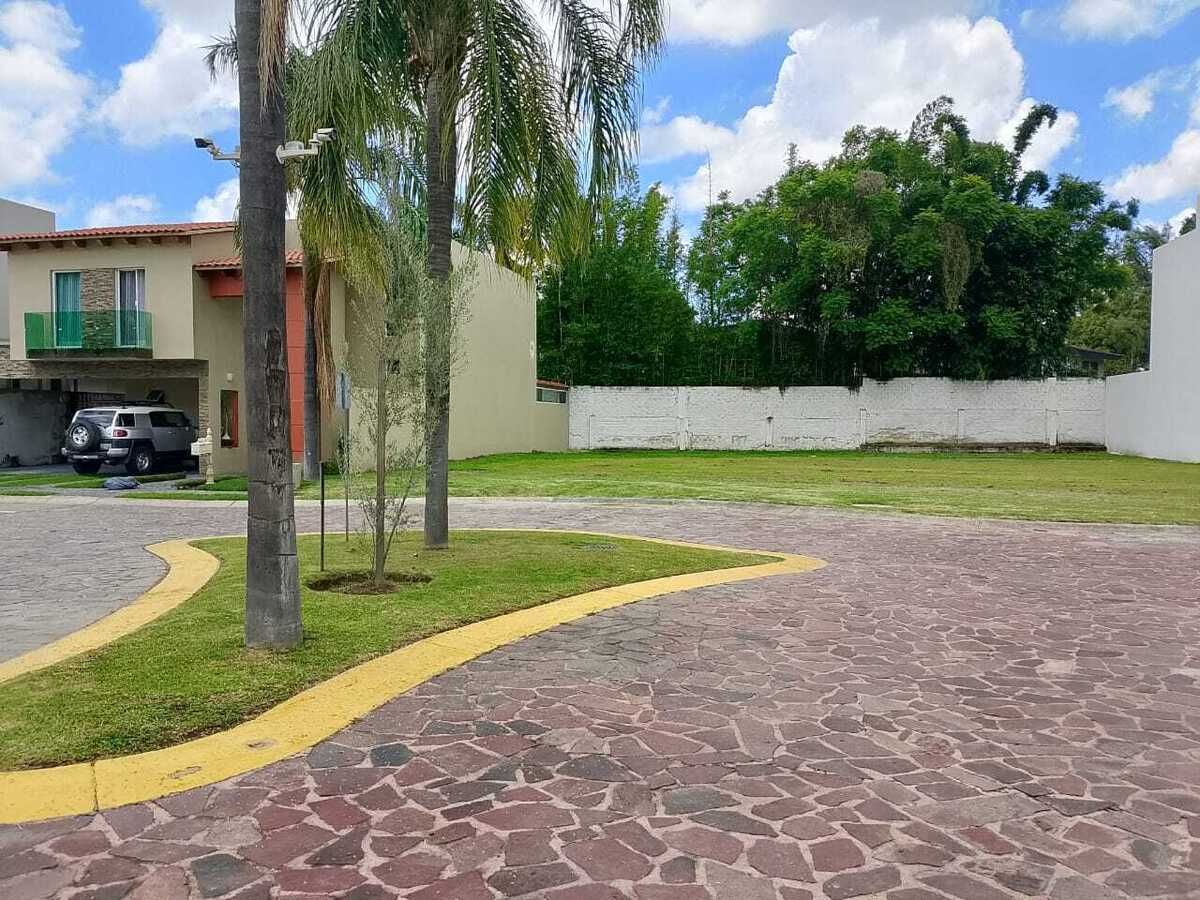 2 de 12
