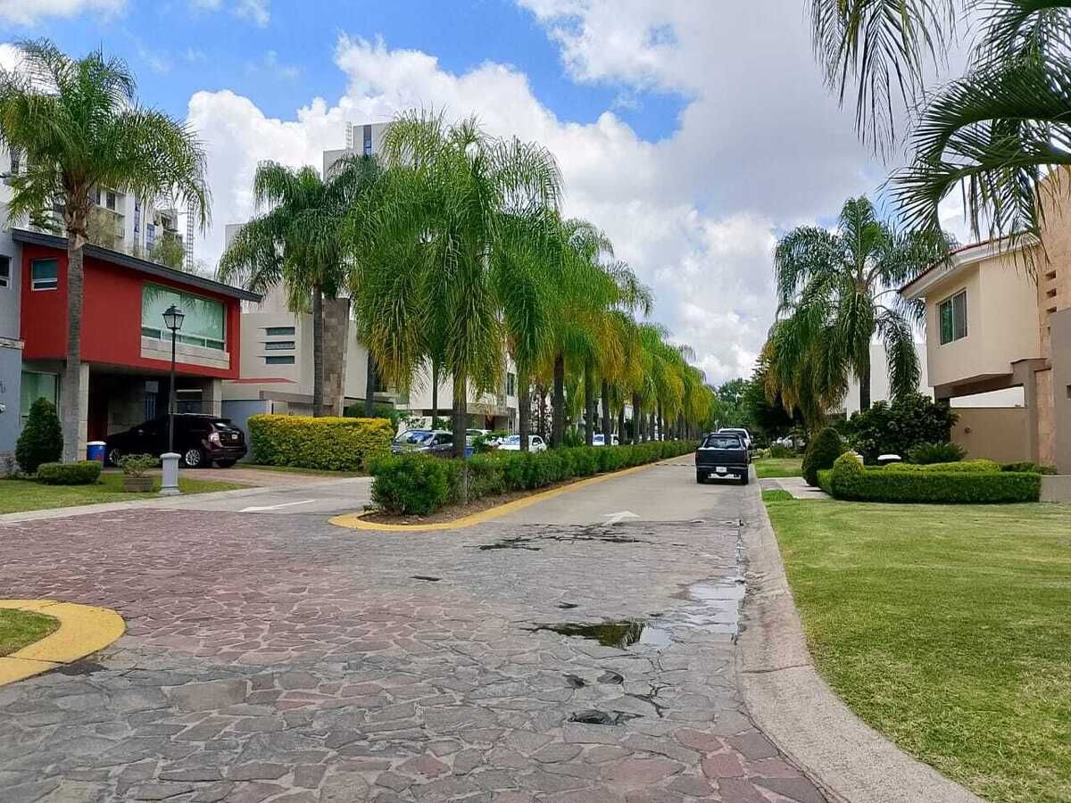 4 de 12