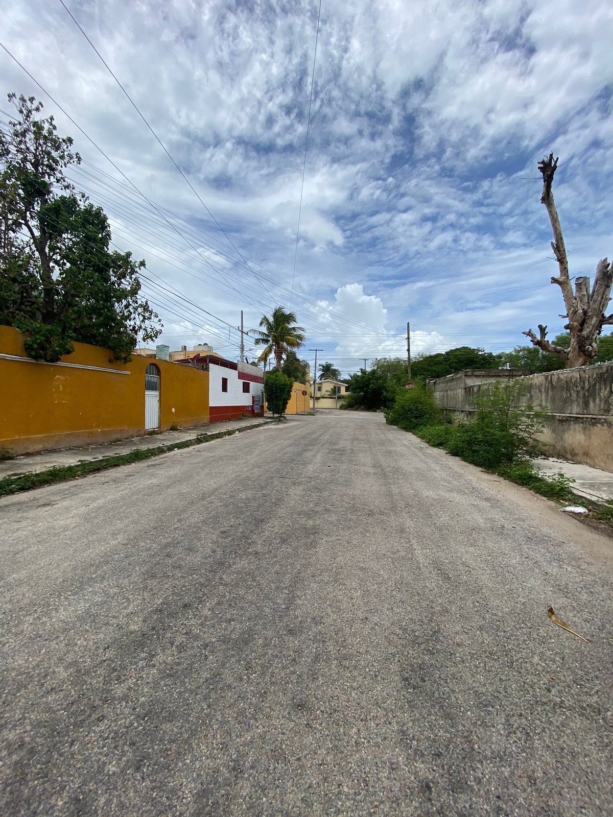 2 de 4