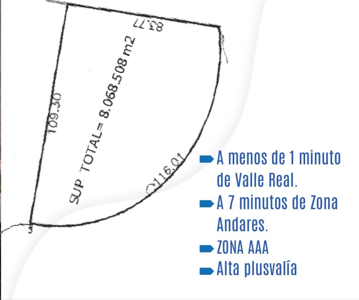 9 de 9
