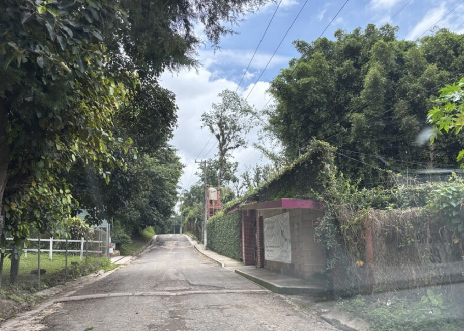 3 de 6