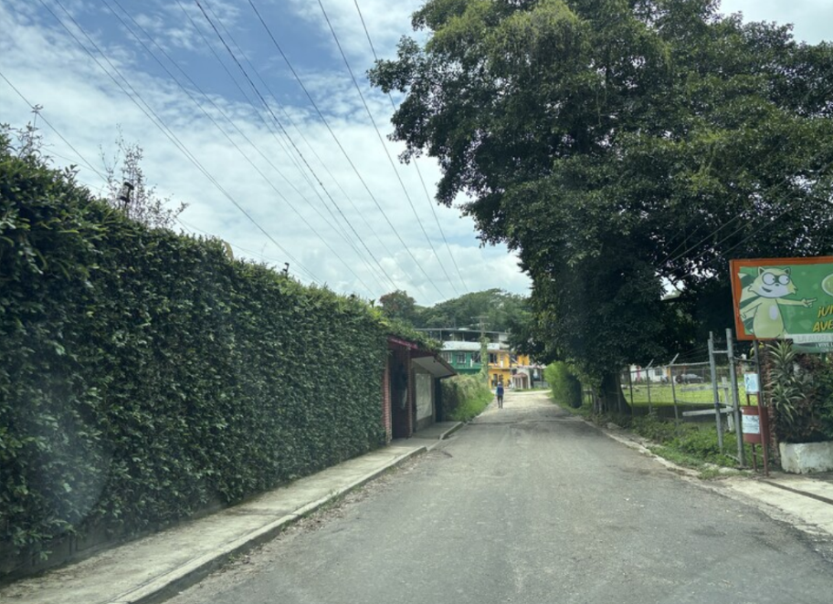 4 de 6