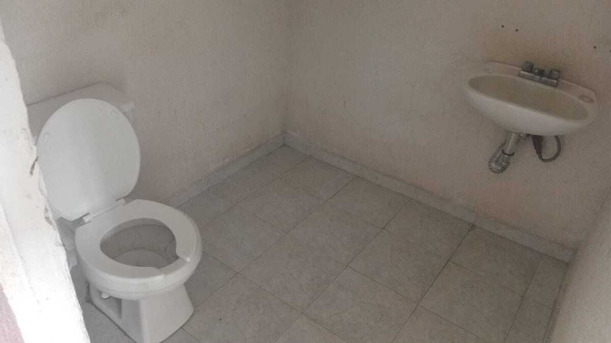 12 de 14
