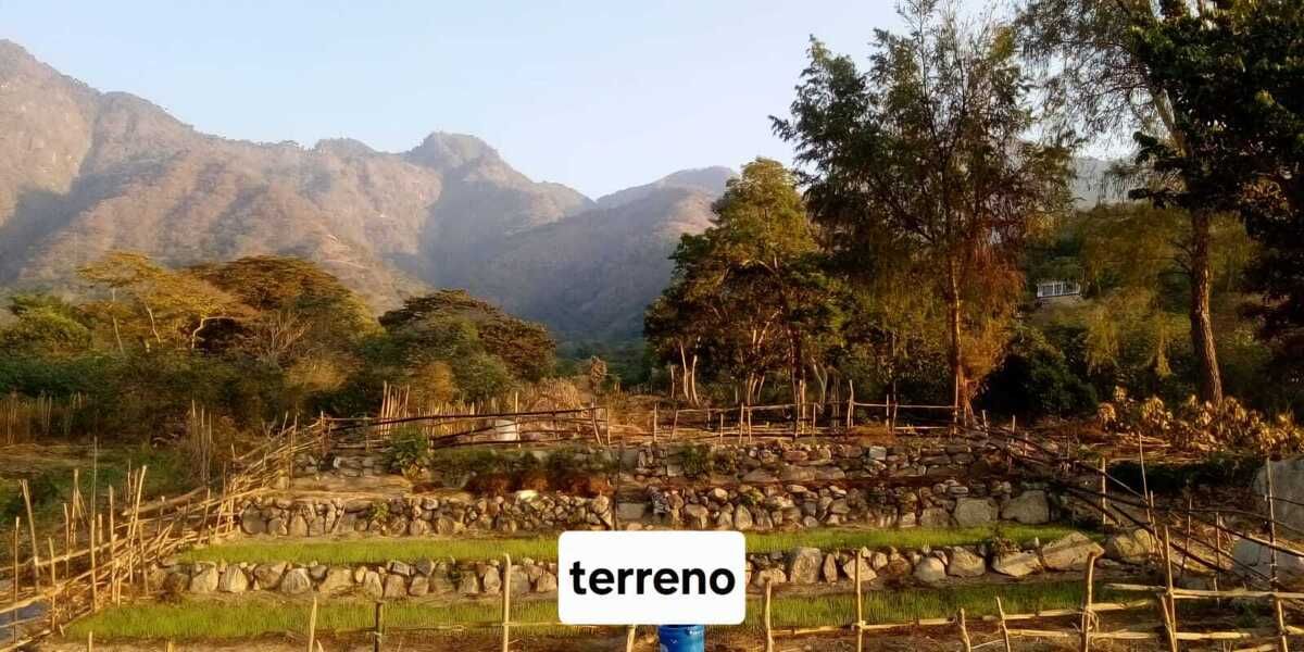 2 de 6