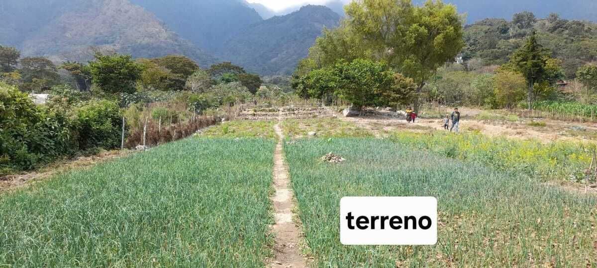 3 de 6