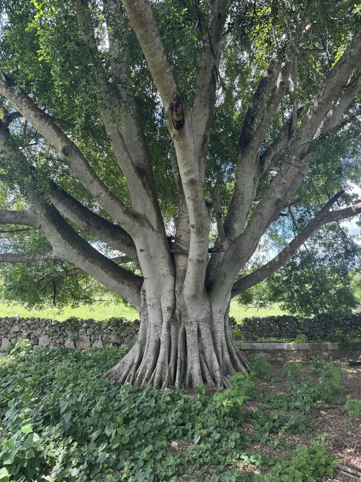 5 de 19