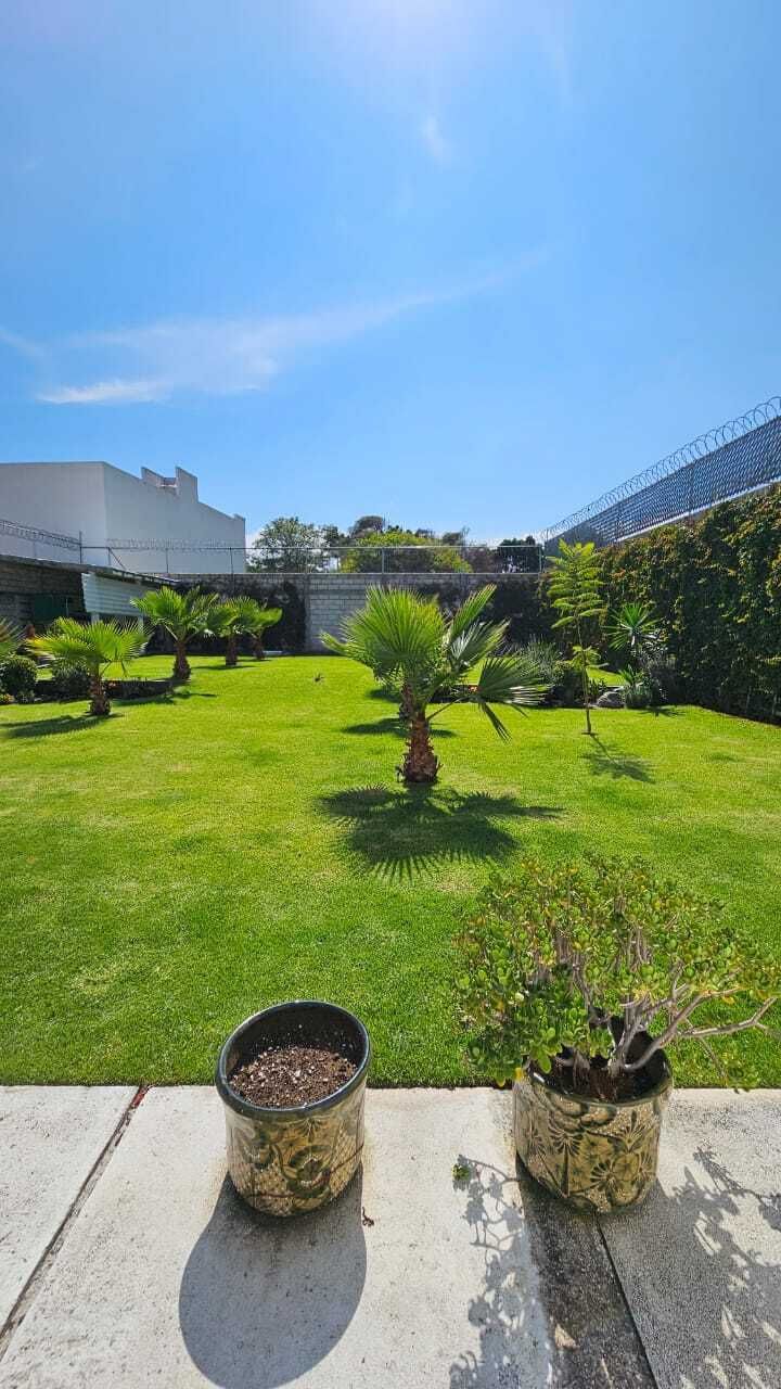 4 de 42