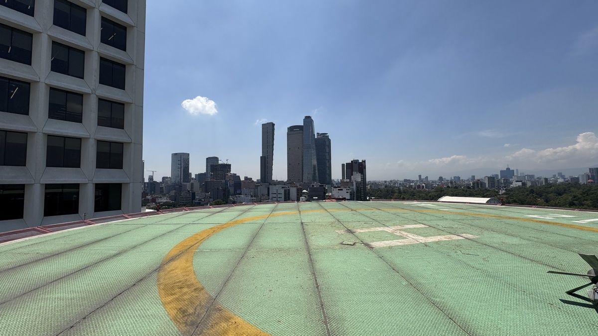 11 de 38