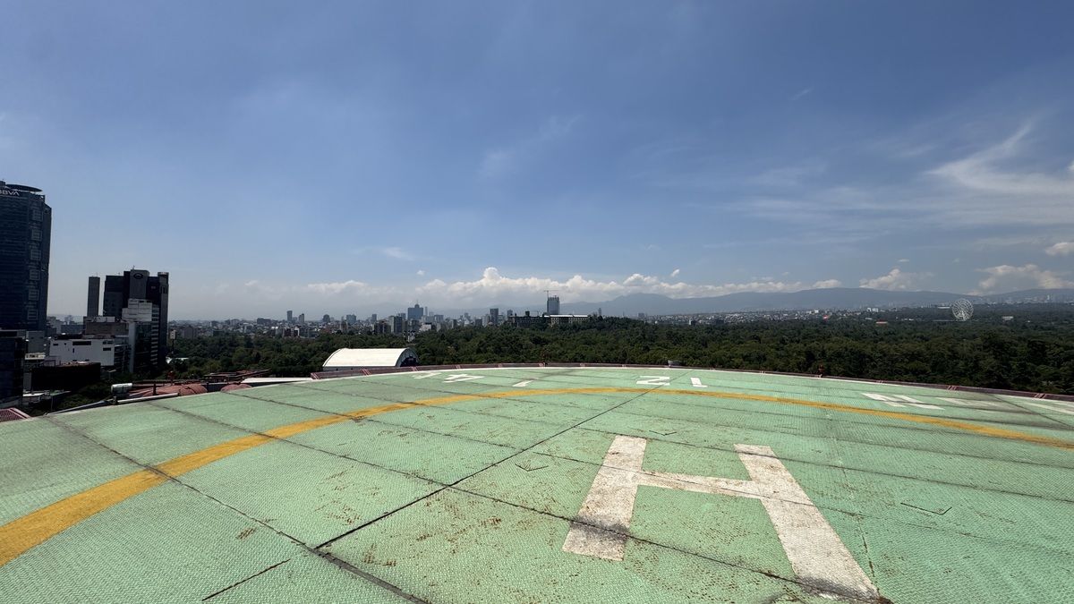 12 de 38