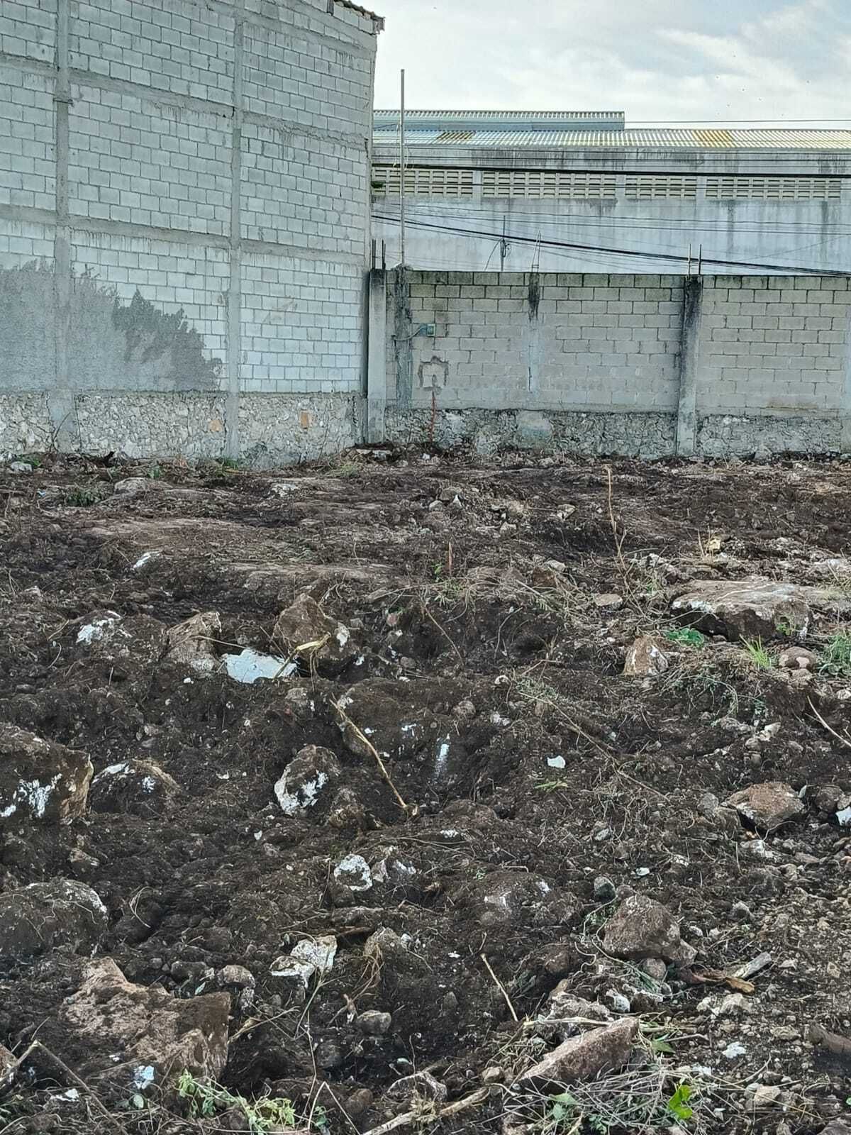 8 de 11