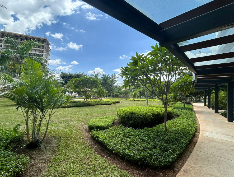 36 de 41