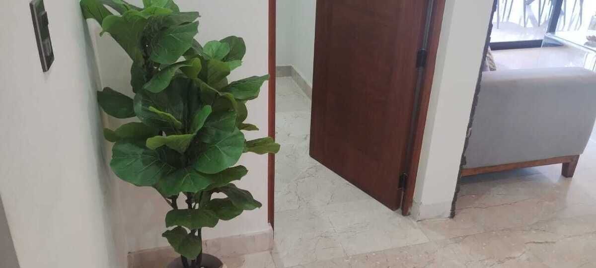 25 de 32
