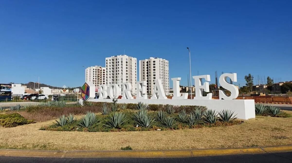 3 de 20
