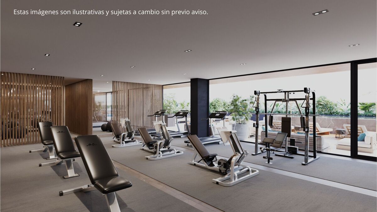 15 de 16: GYM