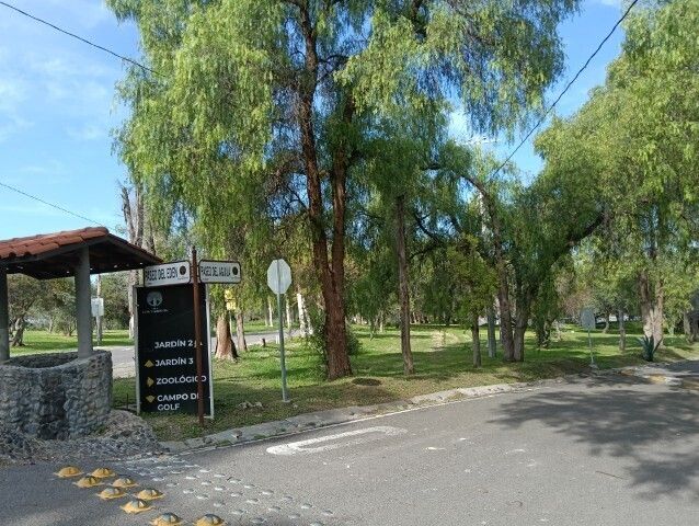 Imagen 5 de 7