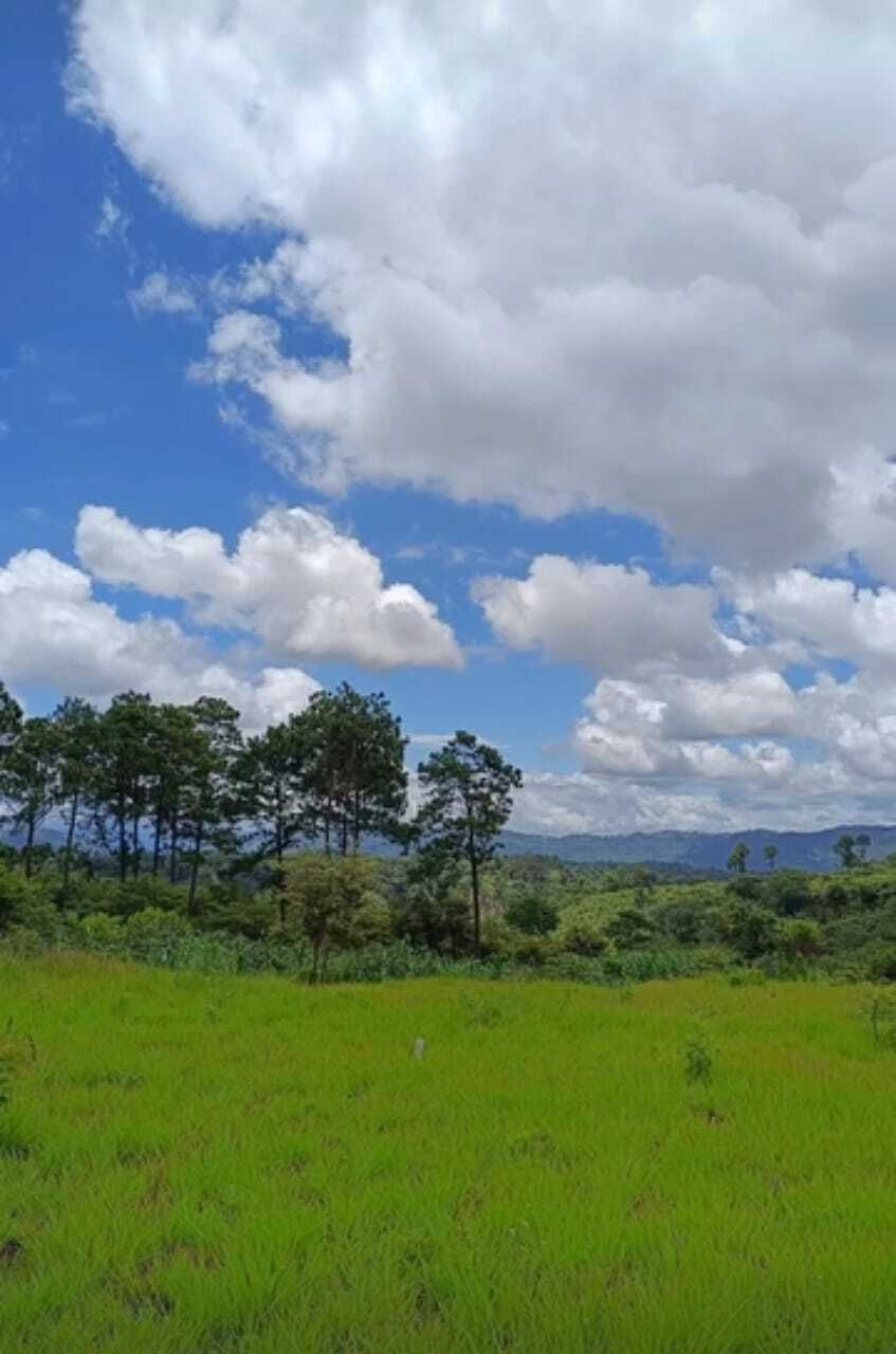 1 de 3