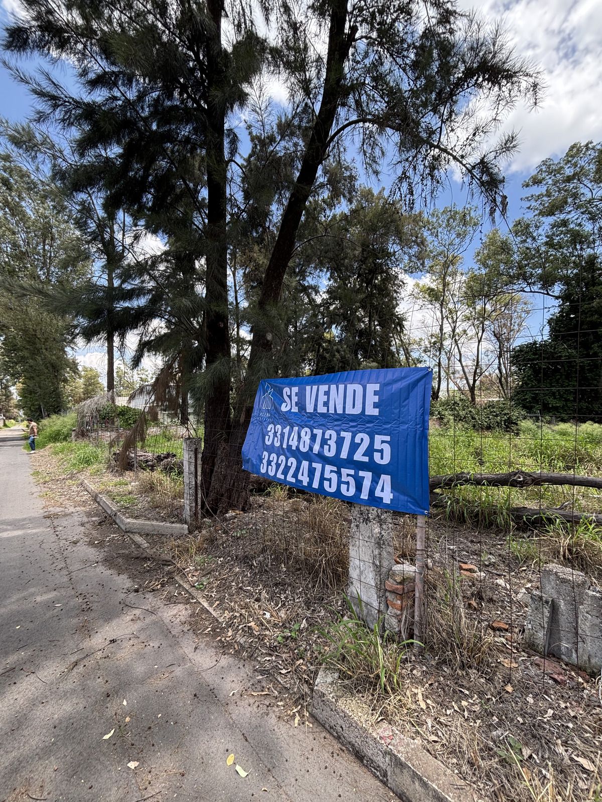 3 de 18