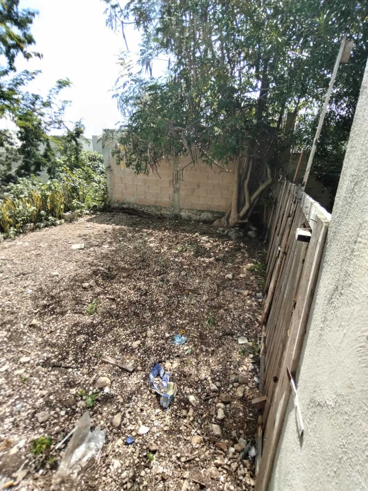 22 de 29