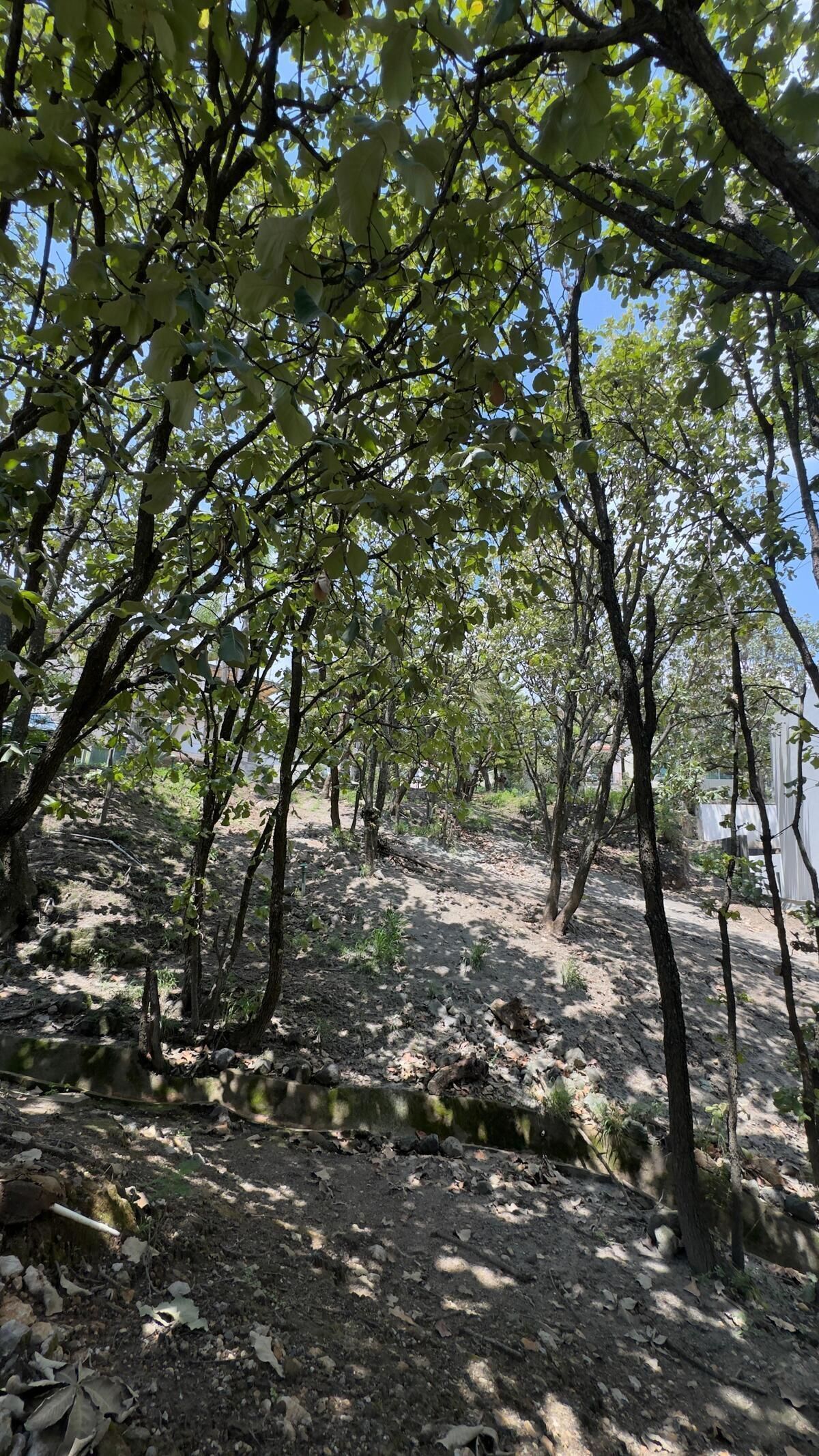 TERRENO EN VENTA DENTRO DE VILLA EN BUGAMBILIAS SEGUNDA SECCIÓN