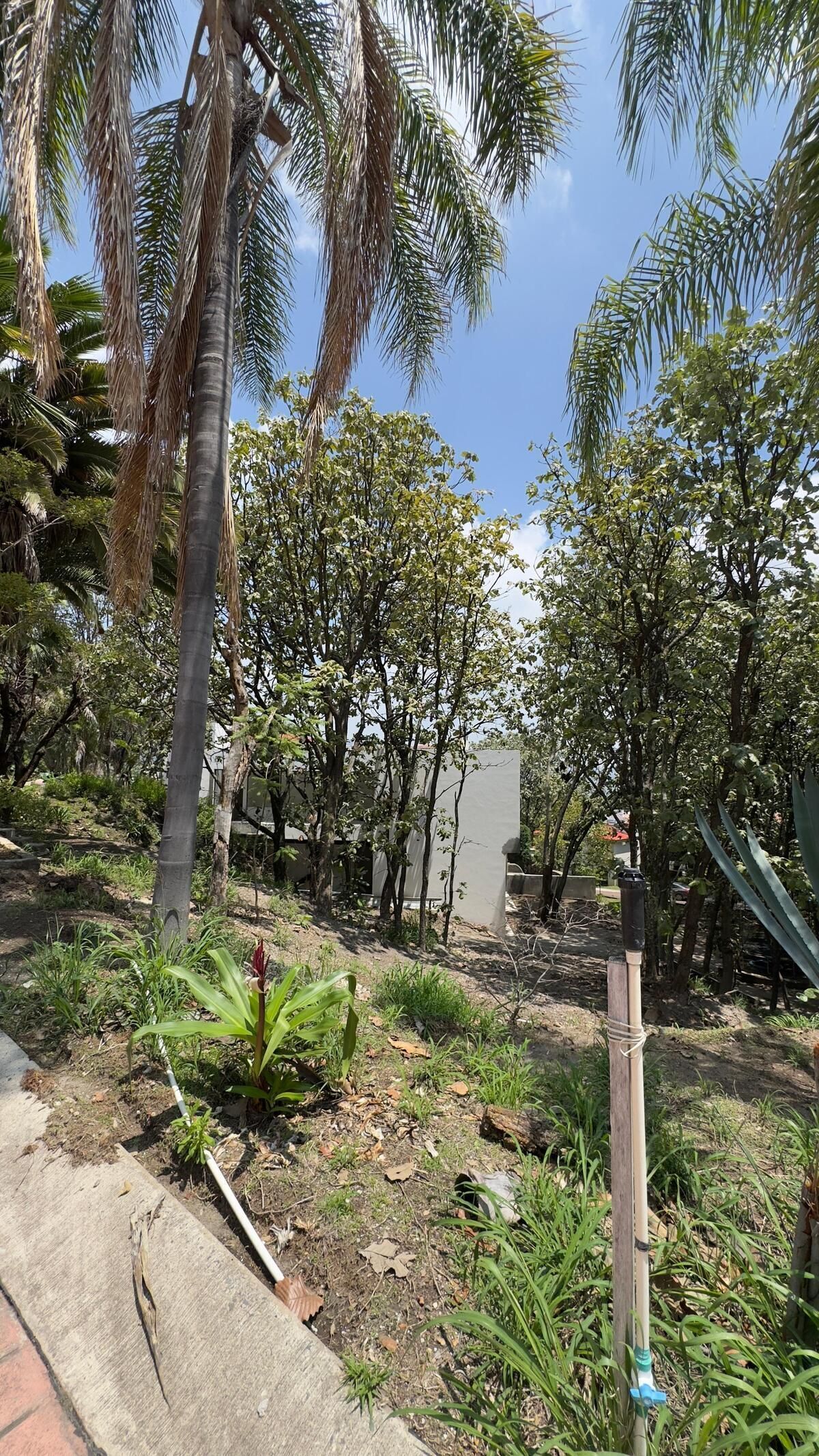 TERRENO EN VENTA DENTRO DE VILLA EN BUGAMBILIAS SEGUNDA SECCIÓN - foto 3