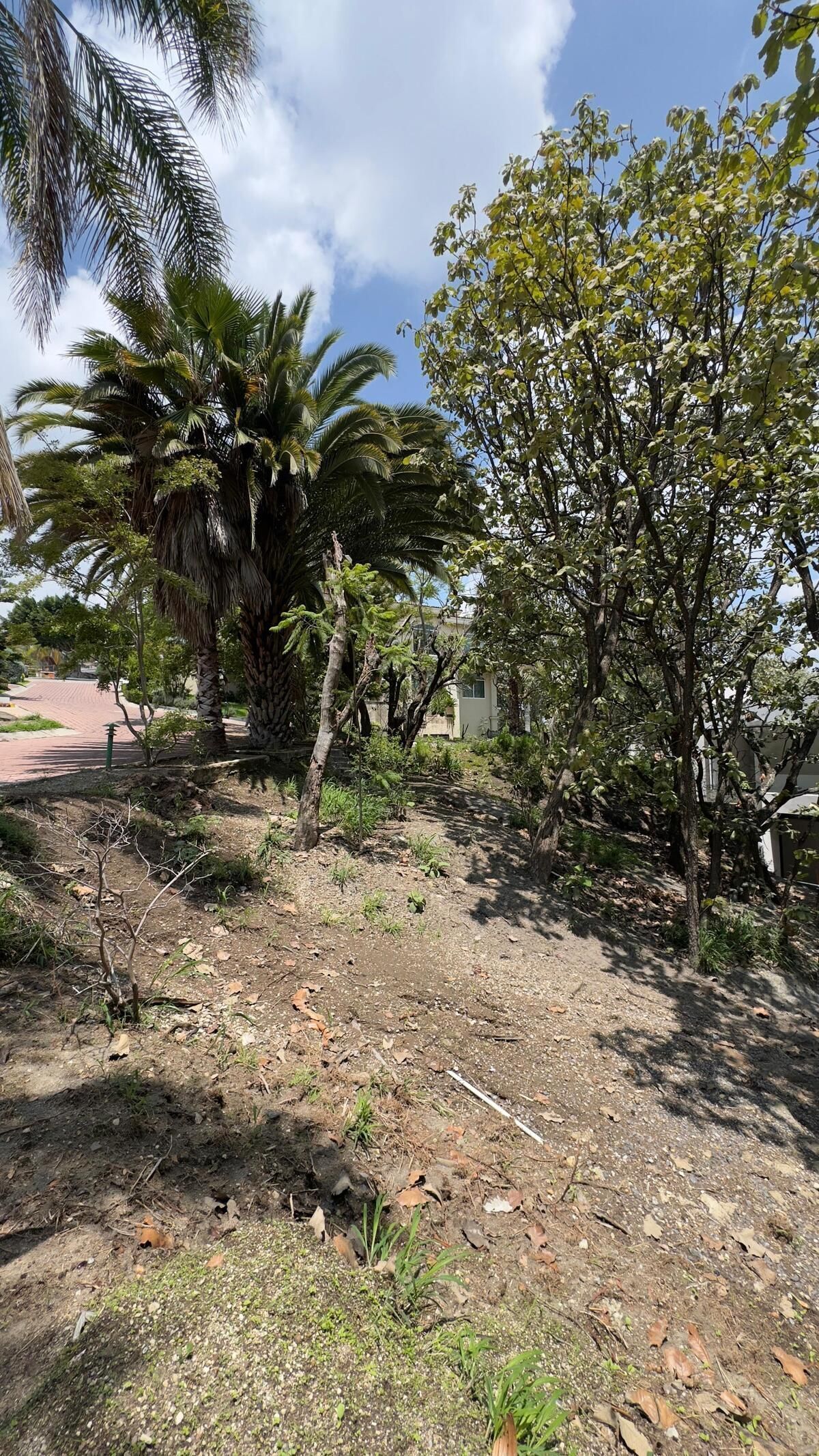 TERRENO EN VENTA DENTRO DE VILLA EN BUGAMBILIAS SEGUNDA SECCIÓN - foto 5
